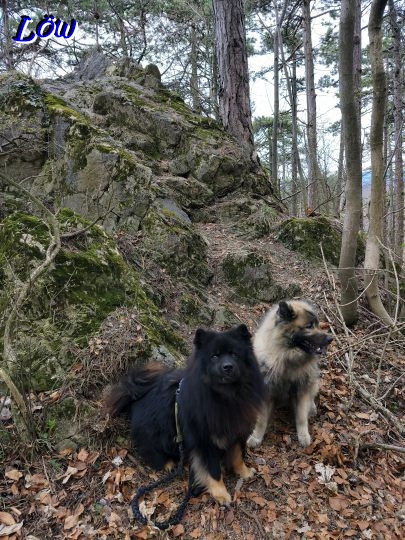 16.3.2026 - Das ist uns zu steil